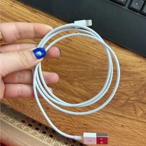 Apple Lightning to USB Cable (1 m)